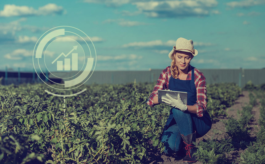 Plantando tecnologia, agronegócio colhe bons frutos