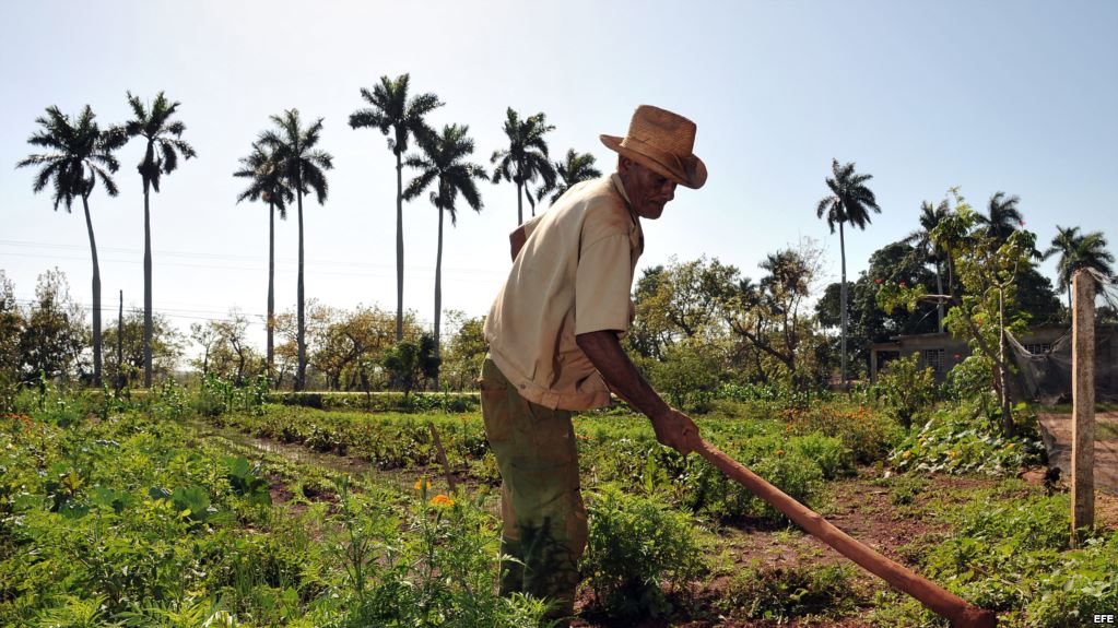 Resource IT amplia portfólio de  serviços para o setor de agronegócios