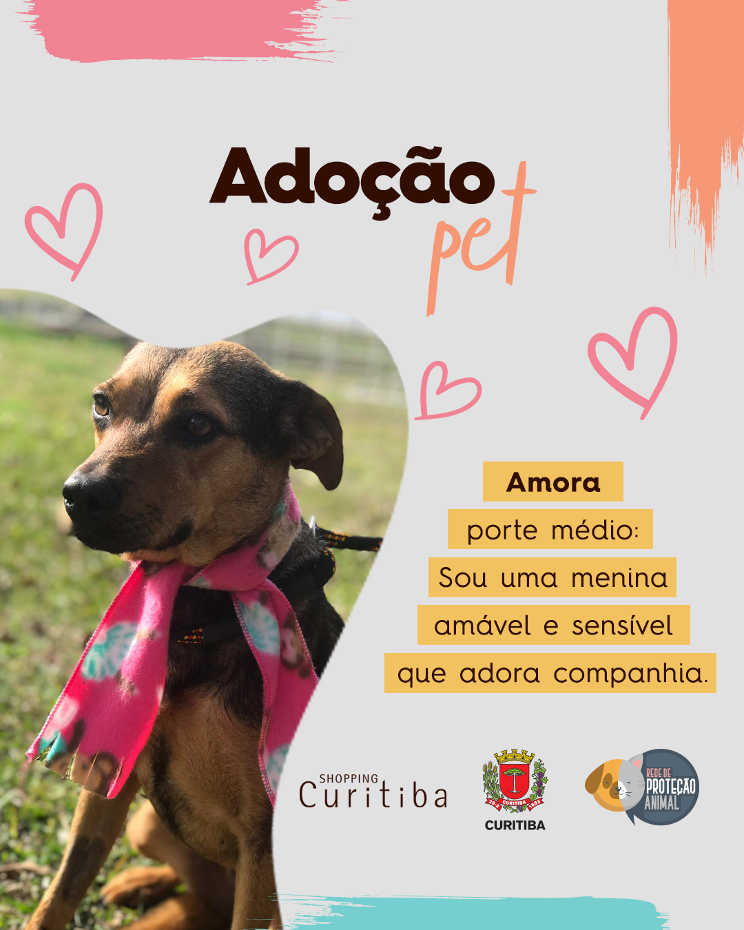 Shopping divulga campanha de adoção de pets, em apoio à Rede de Proteção Animal