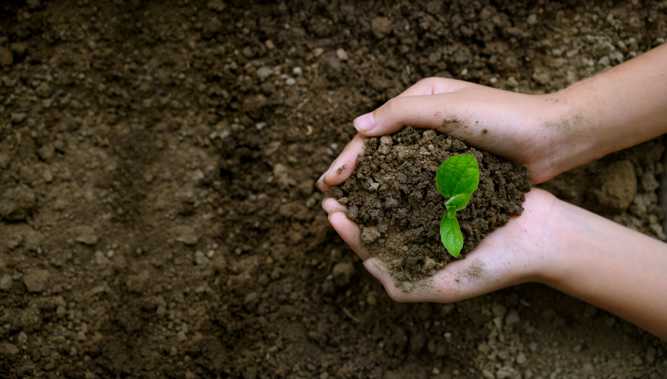 Projeto Biomas Tropicais busca  um novo pacto global do alimento e sustentabilidade