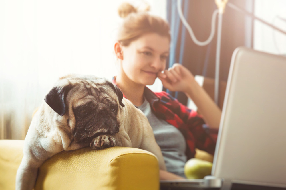 Benefícios de ter um pet em casa para quem trabalha home office