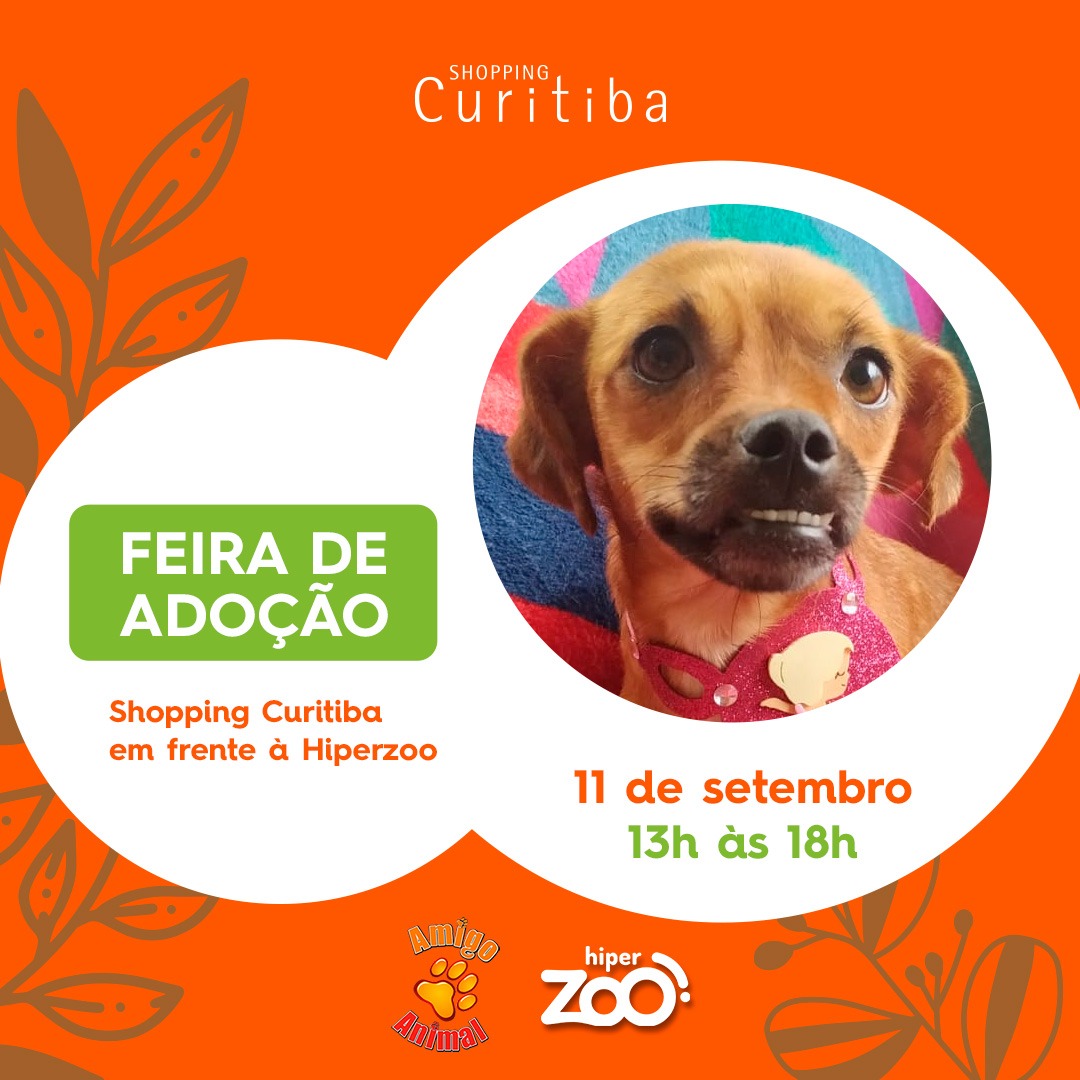 Shopping Curitiba promove ação de adoção de cães neste sábado (11)