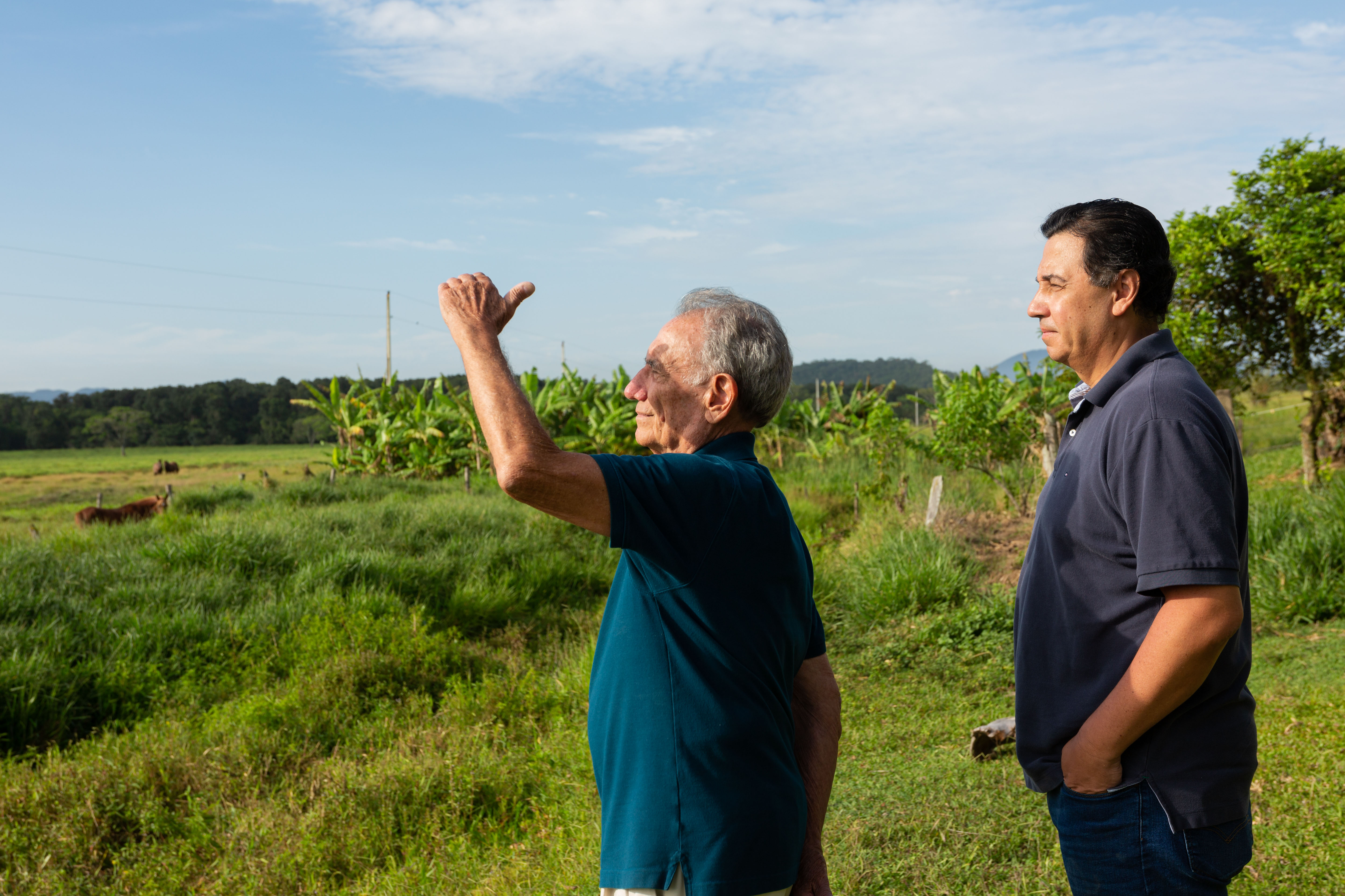 Sustentabilidade é tendência no mercado imobiliário, aponta pesquisa