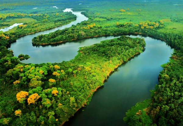 Percepção sobre política ambiental do governo federal é ruim ou péssima para 53%