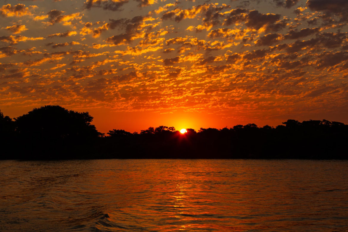 Empresa paulistana promove safári fotográfico no Pantanal