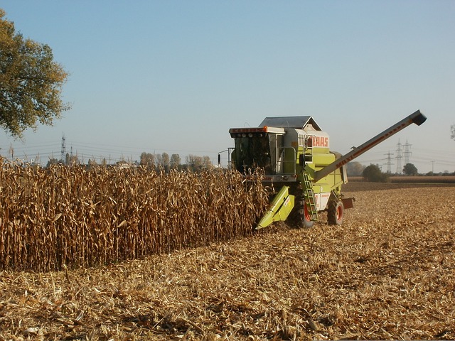 Agrônomos são lembrados como essenciais para a saúde da população