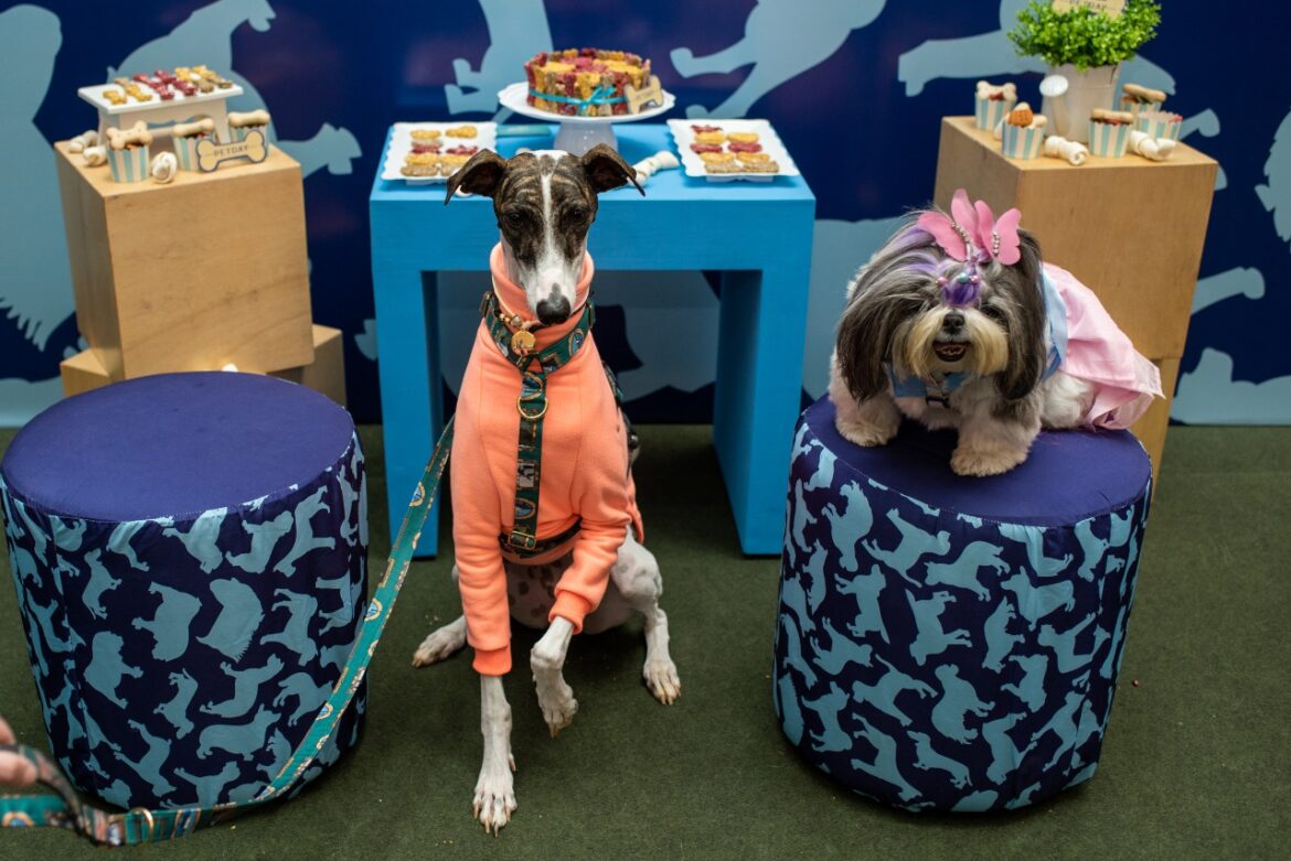 Praia de Belas Shopping promove “Cãominhada” no último final de semana do “Pet Day”