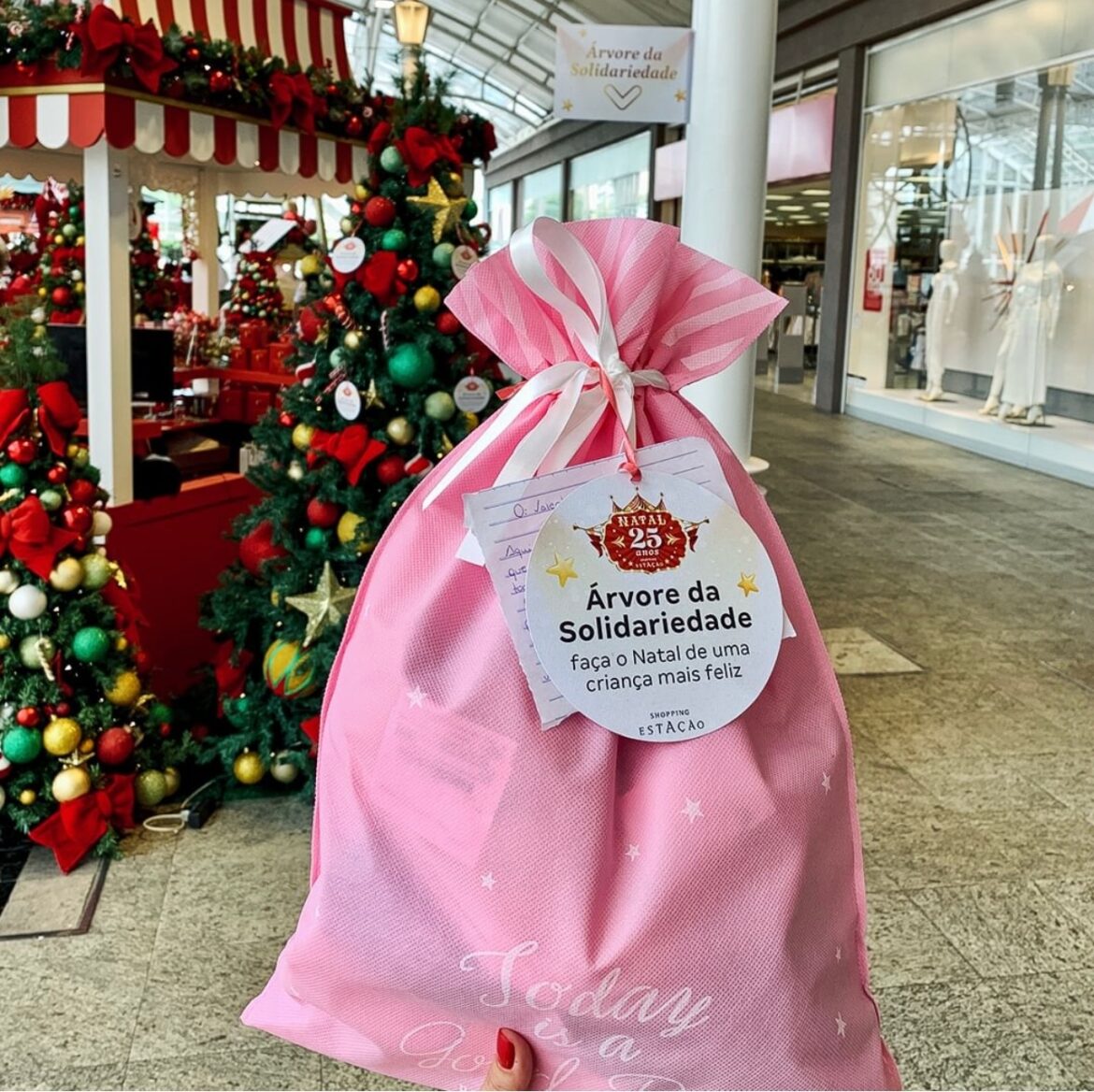 Árvore da Solidariedade arrecada presentes de Natal para a Acridas