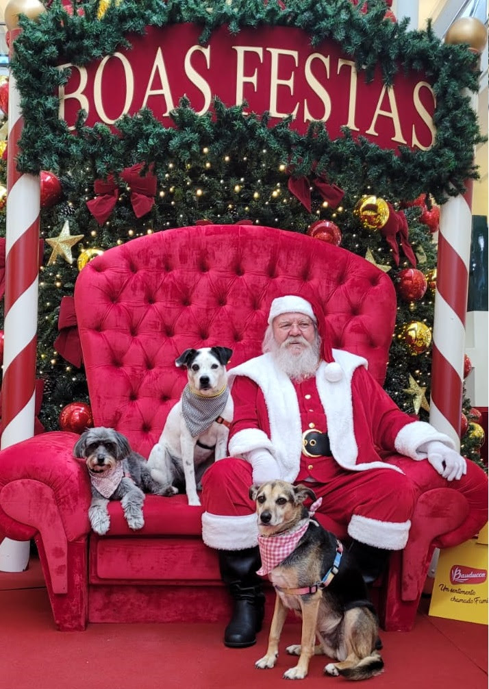 Shopping realiza “natal pet”, com sessão de fotos com o Papai Noel