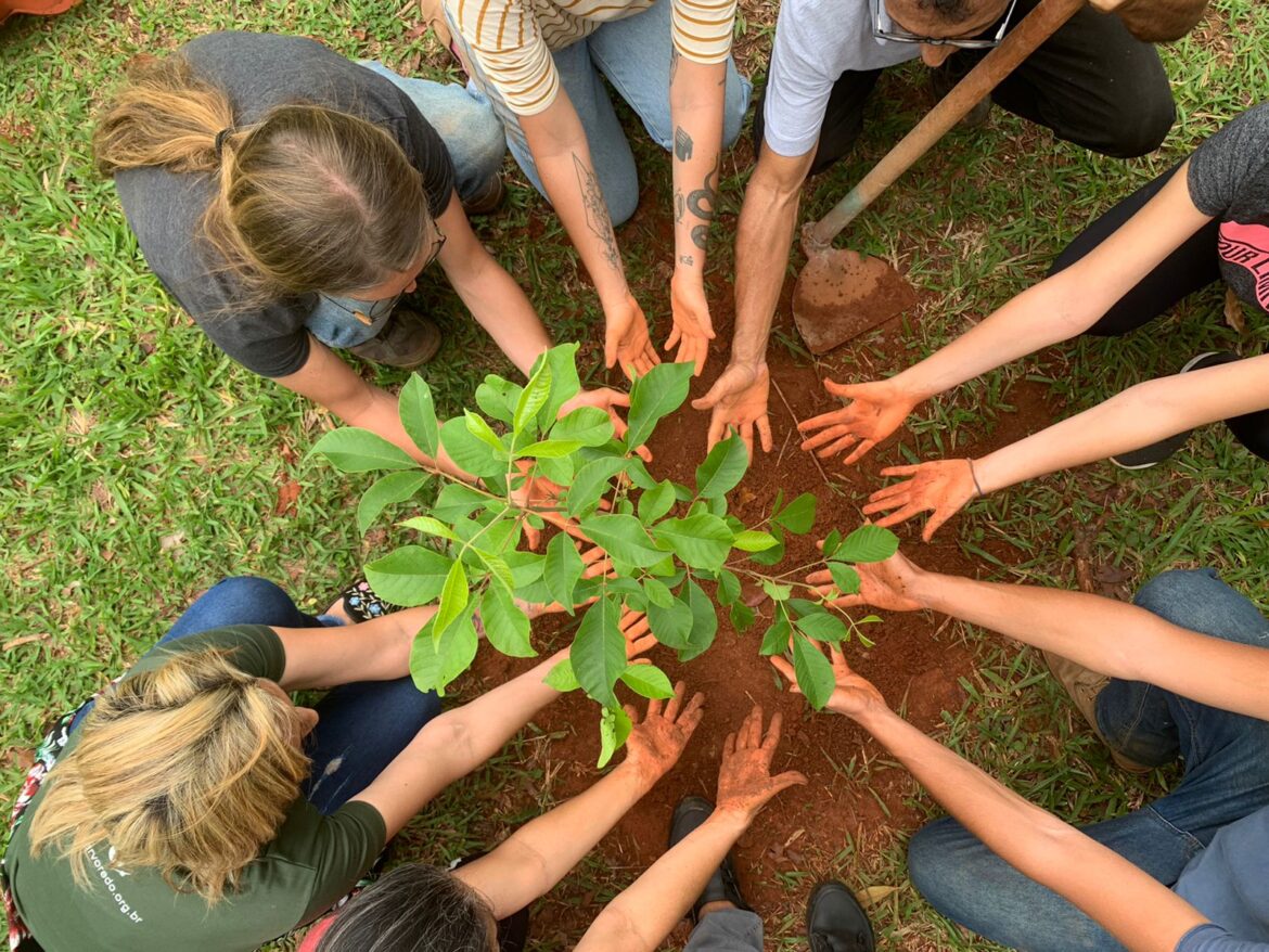 Empresas e ONGs: juntas pelo meio ambiente