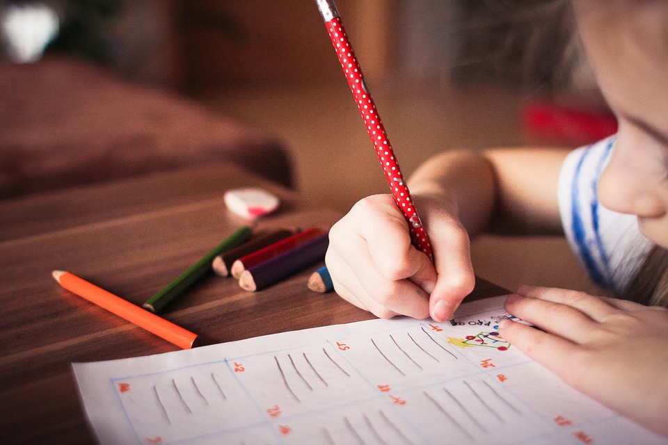 Dia Nacional da Educação: empresas investem no avanço educacional de jovens