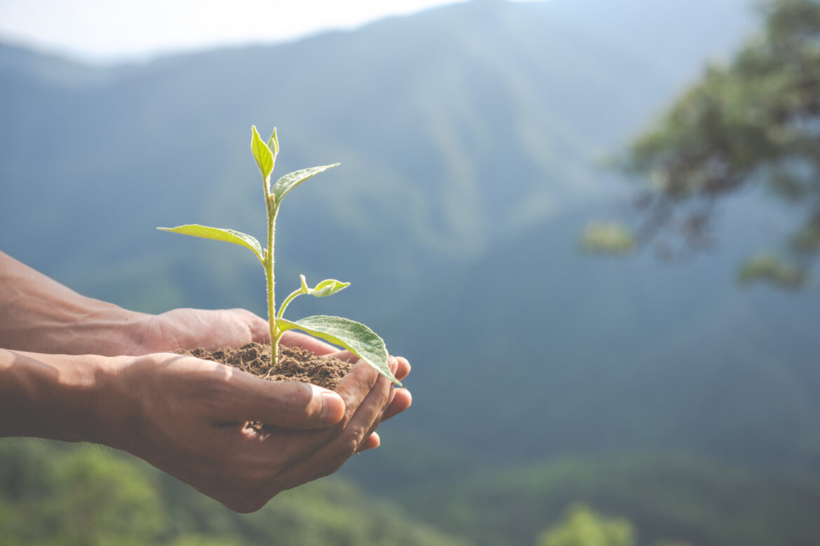 Mercado e consumidores levam empresas a adotar ações de ESG