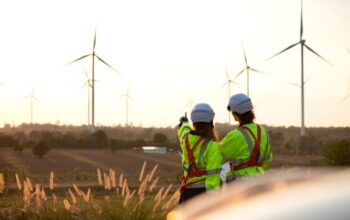 Brasil: 44% das empresas pretendem contratar em 2025