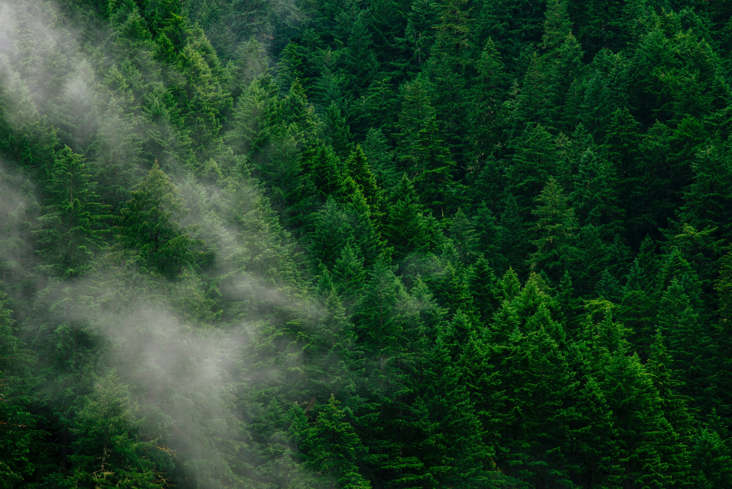 Curso traz metodologia científica aplicada à perícia ambiental