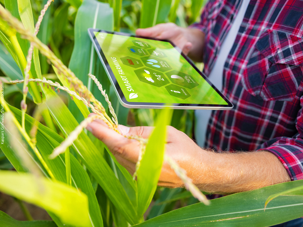 Bits no prato? Tecnologia digital chega à alimentação