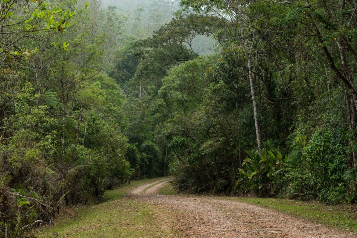 Camping sustentável oferece imersão na Mata Atlântica próximo à capital paulista