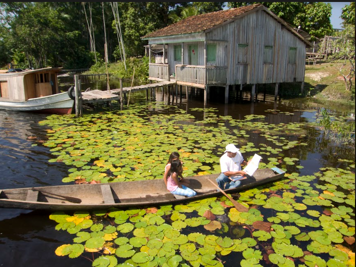 Vaga Lume é uma das vencedoras do prêmio United Earth Amazônia