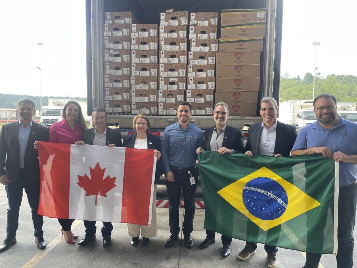 Friboi estreia duas marcas premium de carne bovina canadense no Brasil