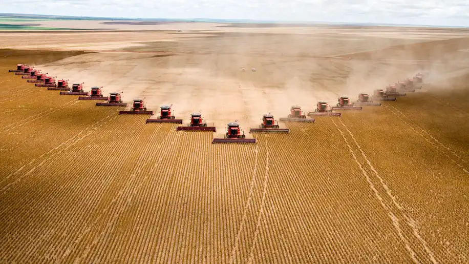 Gigantes do agro têm recuperações judiciais deferidas em MT