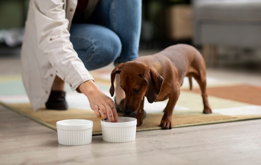 Brazilian Pet Foods marca presença no PET South America, com ração premium especial