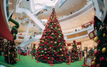 Boulevard Shopping celebra o “Natal Divertido dos Ursos”