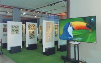 Exposição O Legado Suíço Brasileiro na Amazônia está em Nova Friburgo–RJ