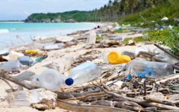 Turista Consciente: movimento quer reduzir lixo nas praias