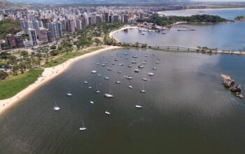 Saúde, educação e segurança nas Onças Brasileiras são melhores, revela estudo